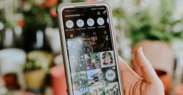 Instagram Profissional