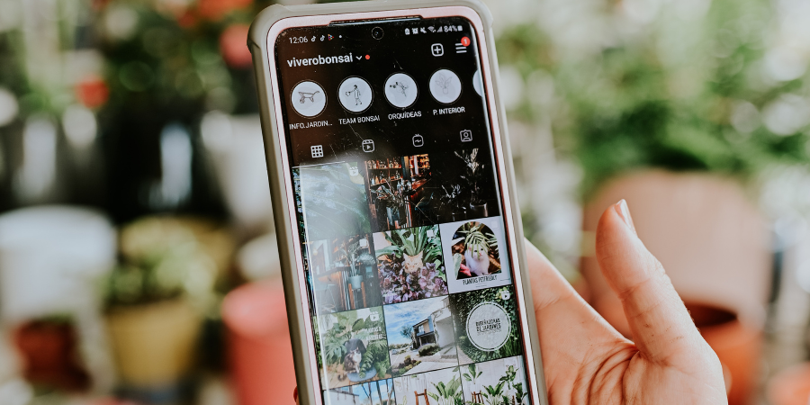 Instagram Profissional
